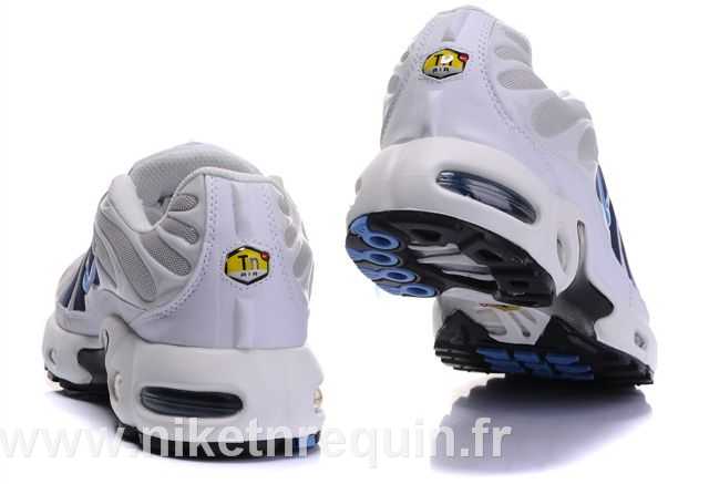 tn 2010 blanc (3).JPG